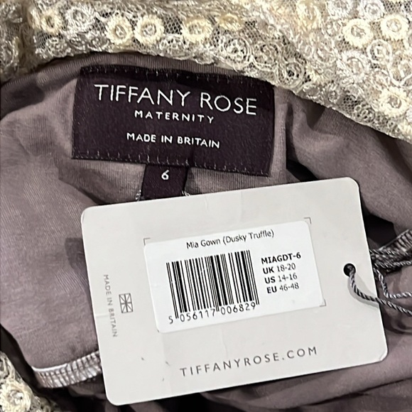 Tiffany Rose Maternity Mia Sequin Embroidered Full Length Gown - Dusky Truffle - Picture 6 of 8